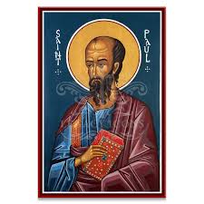 Image result for Saintpauliopsis