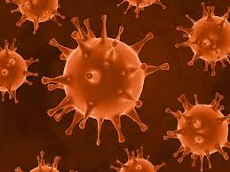 In österreich sind bisher (stand: Coronavirus Zahlen Aktuell 21 04 2021 Infizierte Und Tote In Deutschland Osterreich Italien Spanien Und Frankreich Welt