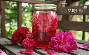 Gul Sirkesi Nasil Yapilir Faydalari Nelerdir Ne Ise Yarar Mavi Kadin Mobile Sirke Guller Ve Evler