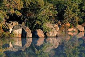 We did not find results for: 14 Texas State Parks Near Dallas Fort Worth Dallas Wanderer