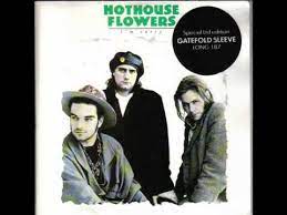 Maybe you would like to learn more about one of these? Hothouse Flowers I M Sorry Youtube