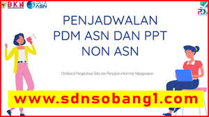 Android app by sapk bkn free. My Sapk Bkn Jadwal Pemutakhiran Data Berdasarkan Kabupaten Kota Se Indonesia Sdn Sobang 1