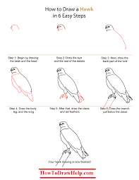 Easy Flying Bird Drawing For Kids How To Draw A Hawk Step By Step Tutotrial Bird Drawings Drawings Draw