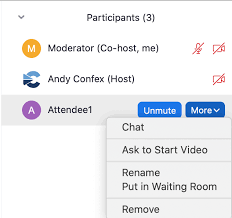 Assign the participant to be the host. Http Sase Org Wp Content Uploads 2020 06 Zoom Instructions Pdf
