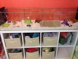 Hamster Cage Ikea Detolf Hamster Cage Ikea Detolf Hamster Cages