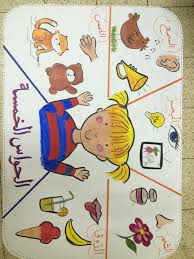 الحواس الخمس learning arabic arabic kids learn arabic alphabet