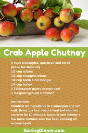 Nab Some Crab Apples Saving Dinner Crab Apple Recipes Chutney Recipes Apple Chutney