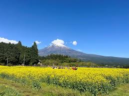 ４月１６日（日）富士山周遊エバーグリーンラインツーレポ | ツーリングクラブECHO