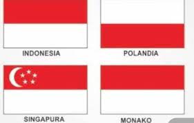 Emoji yang menampilkan bendera polandia, ditampilkan sebagai huruf pl di beberapa platform. Poland Flag Colors Meaning
