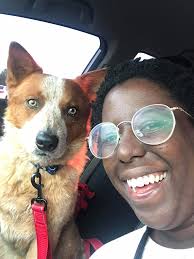 Adopted 14 year old australian cattle dog