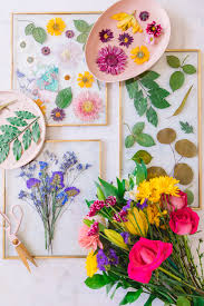 How to press flowers in 3 minutes. Diy Pressed Flower Keepsake Frames How To Press Flowers In 2 Minutes Or Less Studio Diy