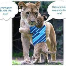 At a maximum length of about 65 feet and weight of 75,000 pounds, a whale shark's size rivals that of large whales. 19 Bulls Ideas Bull Rugby Rugby Logo