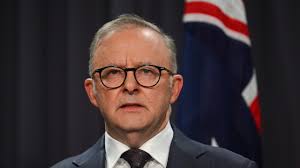 Racist Mens Attacked an Elderly Black Woman, Unaware That Her Rescued Dog  Was a Former Police Dog"