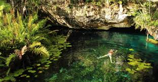 Check spelling or type a new query. Visit Cenotes In Mexico Thomas Cook