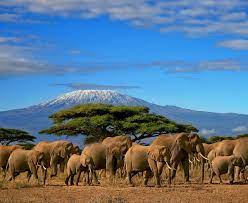 Tansania safari buchungen, dar es salaam, tanzania. Tansania Safari Und Sansibar Reise 7306