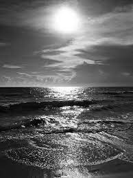 We did not find results for: Shiny Beach Black And White Picture Wall Black And White Beach Black And White Landscape
