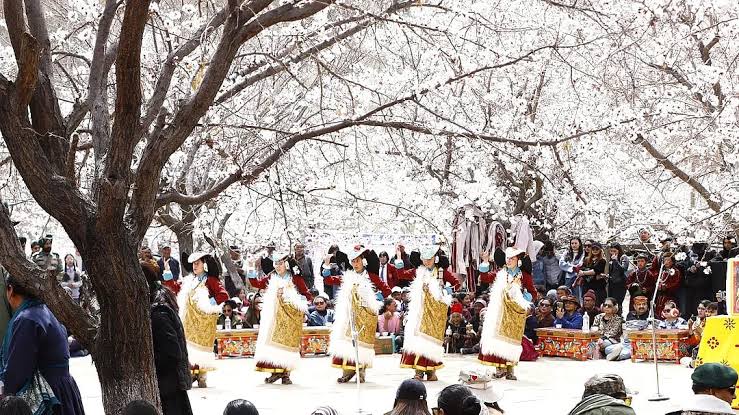 Apricot Blossom Festival in Ladakh