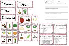 You get to talk about growing, planting, and nature. Life Cycles Of Plants And Animals Science Stations For Third Grade