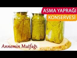 Asma Yapragi Konservesi Nasil Yapilir Youtube Gida Yemek Tarifleri Yemek