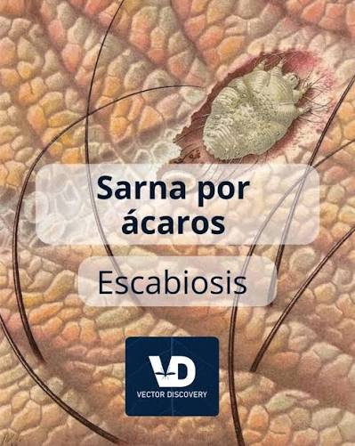 😮Escabiosis: el enemigo microscópico que causa gran impacto, El culpable  de la sarna humana es un ácaro llamado Sarcoptes scabiei var. hominis,  invisible a simple vista pero con gran capacidad de ...