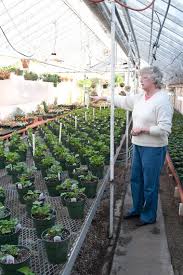 Maybe you would like to learn more about one of these? Flowers From Smith Floral And Greenhouses Still Brightening Lansing Community After 110 Years Mlive Com