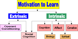 educational psychology interactive motivation