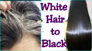 Extract the juice from one amla and mix it with the juice of one fresh lemon. White Hair To Black Naturally White Hair Treatment At Home Get Black Shiny Long Hair Youtube