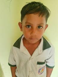 honora pearls joel schechter