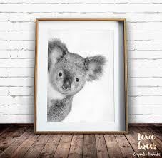 Black And White Animal Prints Australia Koala Print Nursery Wall Art Koala Art Nursery Decor Koala Printable Baby Animal Nursery Printables Black And White Nursery Wall Art Koala Drawing Nursery Art Prints