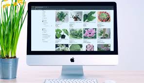 Rated 5.00 out of 5 based on 9 customer ratings. What You Need To Know About Online Plant Sales Hobby Farms