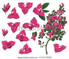 Get 1 free product today all india delivery lowest prices. Shutterstock Puzzlepix