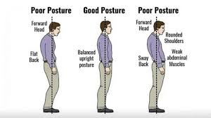 Image result for Low Back Standing Exam