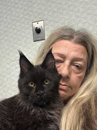 Hi everyone…this is Elvis 🖤🐾🐾