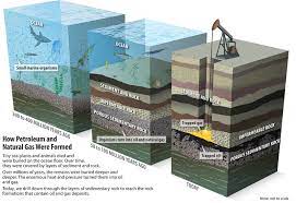 How Does The Formation Of Coal Differ From That Of Natural Gas And Oil Socratic