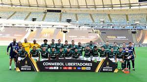 O palmeiras é o time brasileiro em maior jejum de libertadores desde seu. Baixe O Poster Do Palmeiras Campeao Da Libertadores 2020 Veja