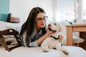 Check spelling or type a new query. How To Create A Pet Friendly Lawn With Organic Fertilizer In Westchester County Ny Lehigh Landscaping Landscapers In Dutchess County Ny