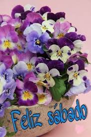 Te envío un desayuno de abrazos, besos y sonrisas para ti. Buenos Dias Feliz Sabado Imagenes Y Fotos 59 Bonitasimagenes Net