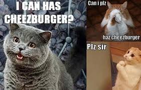 Jul 31, 2021 · the best and most clean memes online. 60 Cutest Cat Meme Meme Central