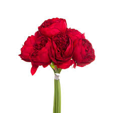 Check out searchinfonow.com to find tropical silk flowers. Peony Bouquet Emily X8 Flowers Red 34cmh
