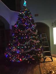 Christmas Trees And Failing Brains