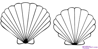 Maybe you would like to learn more about one of these? Pin On Shells