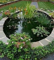 Moreover,appropriate succulents will additionally add bright spots of colors to your garden. All About Water Garden Greenmylife