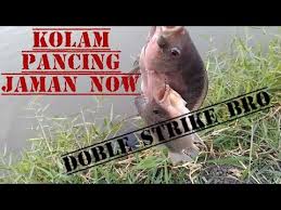 Mancing Di Daerah Juanda Tarikan Nya Mantap Bro Youtube