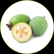 Image result for Feijoa