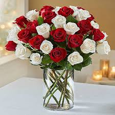 We make sending flowers affordable. Two Dozen Red White Roses