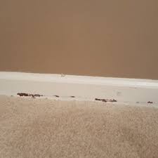 Shop today for area rugs. Carpet Mill Outlet Carpeting 1 N Armistead Ave Hampton Va Phone Number Yelp