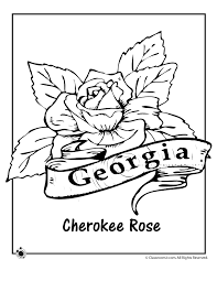 Learn the state nickname, abbreviation, date it joined the union, state number, state bird, state motto, state flower, state song, state tree, state mammal, state fish, state largest cities, state capital and famous residents. Georgia State Tree Colouring Pages Coloring Home