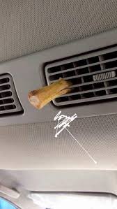 We did not find results for: Bawa Durian Berbakul Bakul Dalam Kereta Pun Tak Tinggalkan Bau 5 Petua Perlu Cuba Keluarga