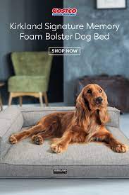 We did not find results for: Kirkland Signature 36 X 42 Memory Foam Bolster Dog Bed Gra Bolster Dog Bed Luxury Pet Beds Kirklands