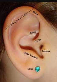 How To Clean A Daith Piercing Quora Piercing Tragus Piercings